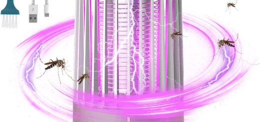 Best Indoor Fly Trap