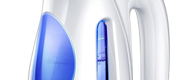 Handheld Clothes Steamer